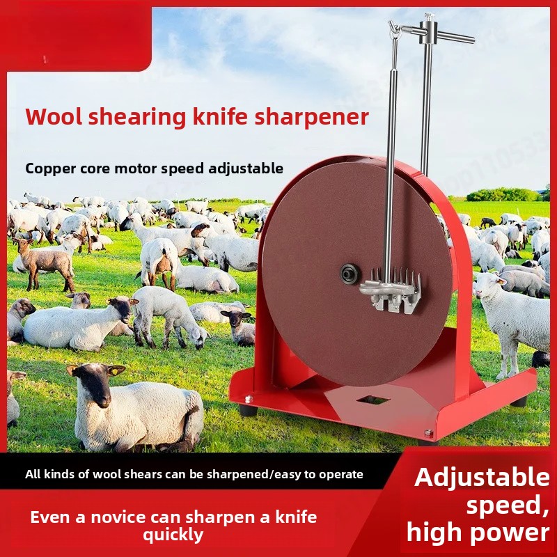 WE-68 مبراة شفرات الصوف عالية  - مراجعة Workshop Tools Knife Sharpener وسعره